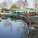 새마을낚시터 이미지