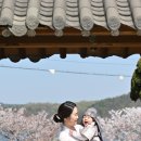 용인 송담고택 돌잔치 후기 – 한옥에서 특별하게 남긴 첫 생일의 추억