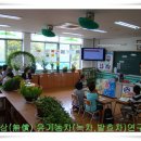 쌍계초등학교 이미지