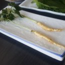 꿀맛장어