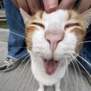 CGV소풍 5관