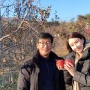 약돌농장 이미지