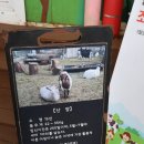 비오는날 김포 연보람목장 아이랑 다녀온 솔직후기