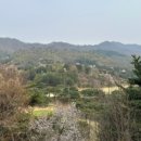 그린힐의원 이미지