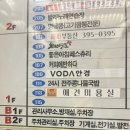 애견샵 컬리독 이미지