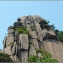 정이네유통 이미지