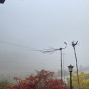 찬조농장 Daum카페