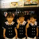 새롬동물병원 이미지