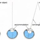 읽고 쓰고 셈하고 이미지