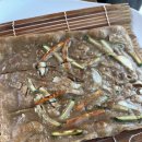 홍기와쭈꾸미 이미지