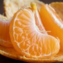 브릭스 | 당도계 과일 브릭스 사용 후기, 귤 농사 수확전 당도 측정해보니