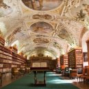 미로호프 이미지