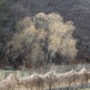 기장군청 이미지