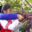 황토내음 이미지