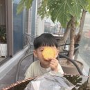 정릉47 | 47개월 성장 기록 ( 똑같이 색칠해요 , 내 그림을 붙여요 , 영유아검진 , 엄마랑 결혼할 거야 , 발리...