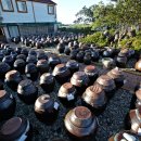 내양농장 이미지