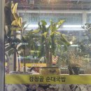 강청골순대국밥 | 대전 동구 가양동 강청골순대국밥 가양본점 솔직후기 압력밥솥
