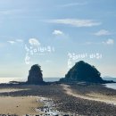 고운정식당 | [서해여행] 태안 반려견동반 1박2일｜여행코스·숙소·식당 후기