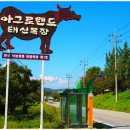 호인목장 이미지