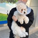 아는수의사 동물병원 이미지