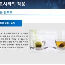 헬시루카