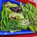 몽실하우스 이미지