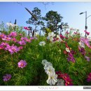 순천만의 추억 이미지