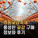 영동우체국 | 영동곶감축제 풍성한 곶감 구매 정보와 후기