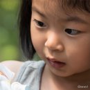 꽃사슴어린이공원 이미지