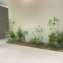 조경치과의원 이미지