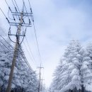 필승목장 이미지