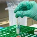 조은한약 이미지