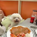 판교매일식당 정자직영점 이미지