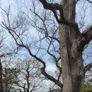 포석정 화장실 이미지