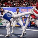 한국체대월드태권도 이미지