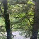 명지산카라반오토캠핑장 이미지