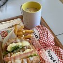 테그42 진도쏠비치점
