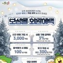 보성이네 이미지