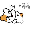 장미면옥 이미지