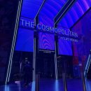 라스베가스 | 라스베가스 호텔 코스모폴리탄 정보 내돈내산 후기 테라스 파운틴뷰 업그레이드