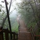 주공5단지 4가 4 이미지