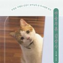 카페냥
