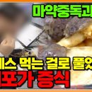 마약 중독과 똑같다 뇌를 속여 끊을 수 없는 단맛의 늪, 결국 암세포까지 증식시킨 식습관의 경고 이미지