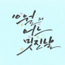 캘리그래피 이미지
