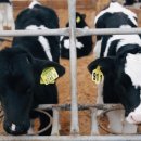 두지목장 이미지