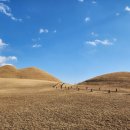 송학동고분군 화장실 이미지