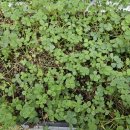 마진농장 이미지