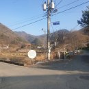 옥천군안내면보건지소 | 산길임도 - 옥천군 안내면 동대리, 오덕리, 도이리 임도 (금적산 서쪽 임도)