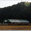 강원한우농장 이미지