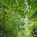 벽봉마을 | 사찰 순례 여섯 번째 - 약사미륵성지 대구 팔공산 동화사 1